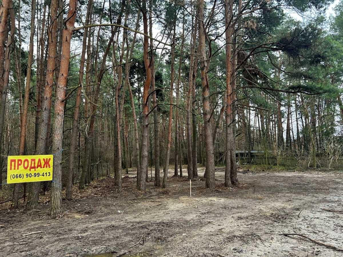 Продажа участка под индивидуальное жилое строительство 20 соток, Університетська 8