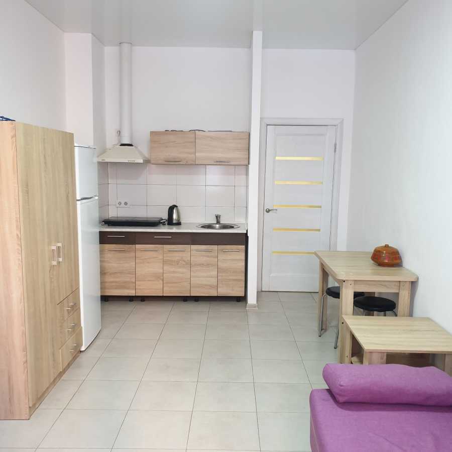 Аренда 1-комнатной квартиры 27 м², Олени Теліги, 2е