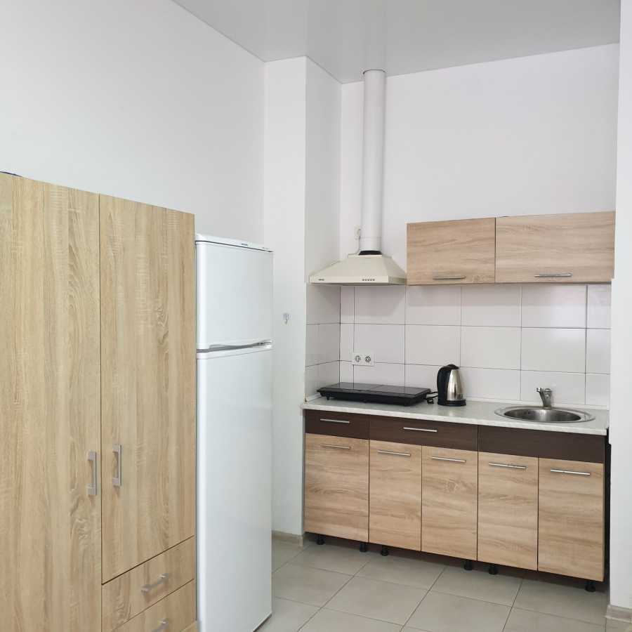 Аренда 1-комнатной квартиры 27 м², Олени Теліги, 2е