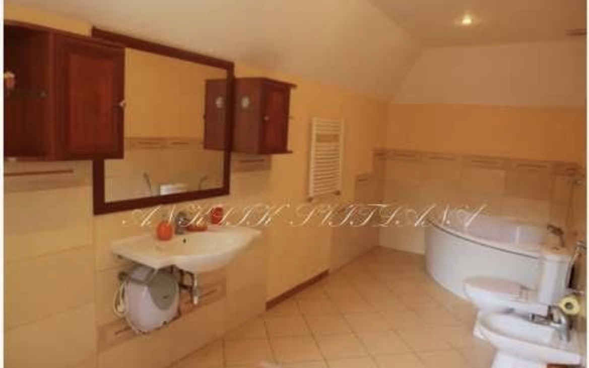 Оренда котеджу 225 м², Голосіївська вул.