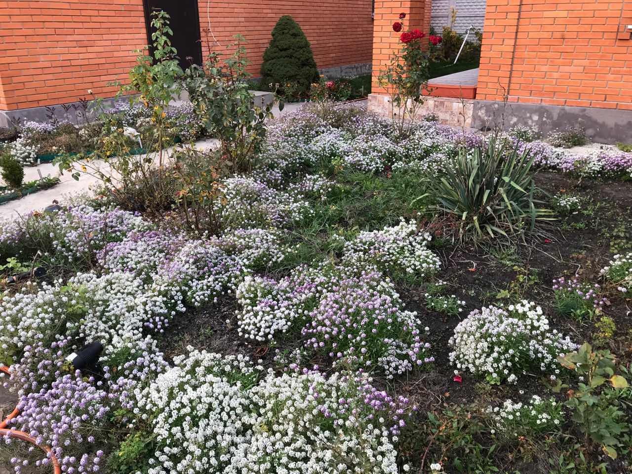 Оренда будинку 260 м²