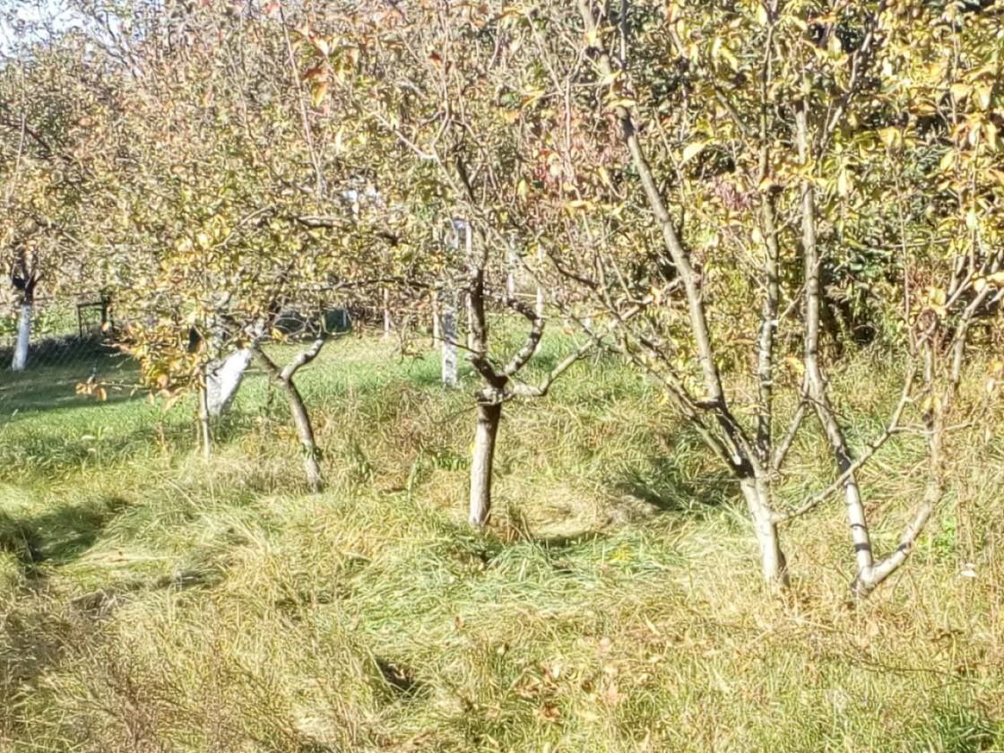 Продажа дачи 48 м², Верхньосадова 79