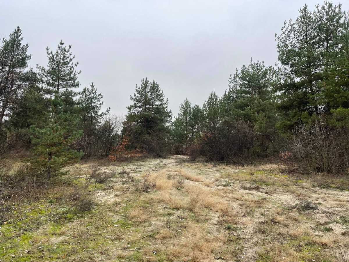 Продажа гостиничного комплекса 1000 м², Кодацька