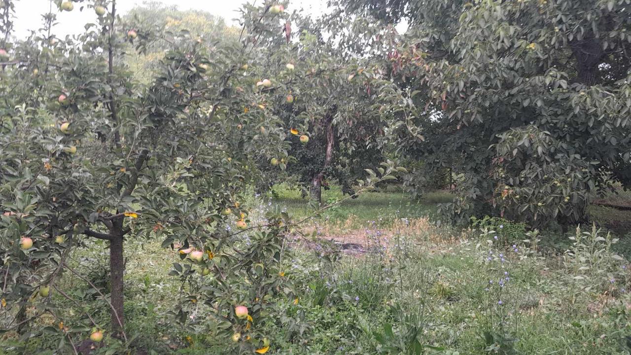 Продажа дома 62 м²