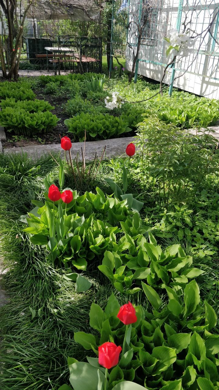 Продаж дачної ділянки 6 соток