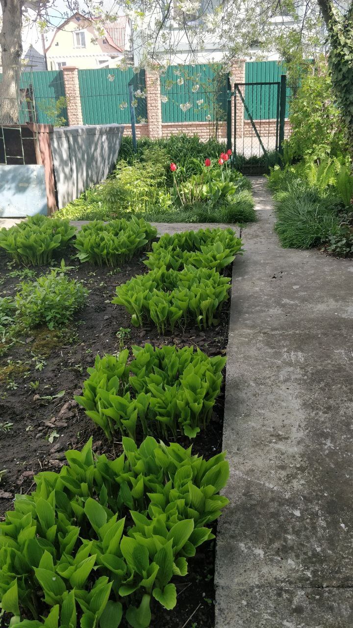 Продаж дачної ділянки 6 соток