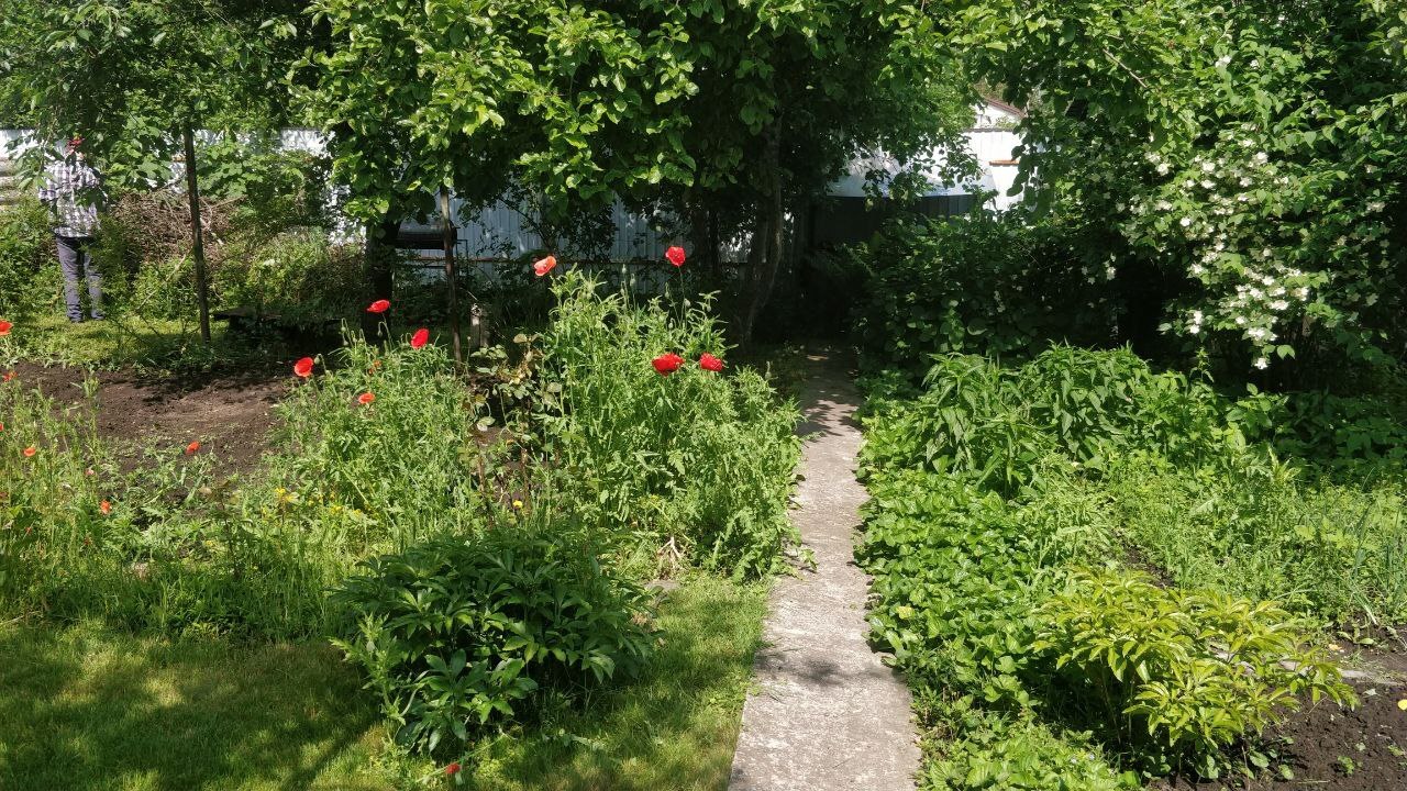 Продаж дачної ділянки 6 соток