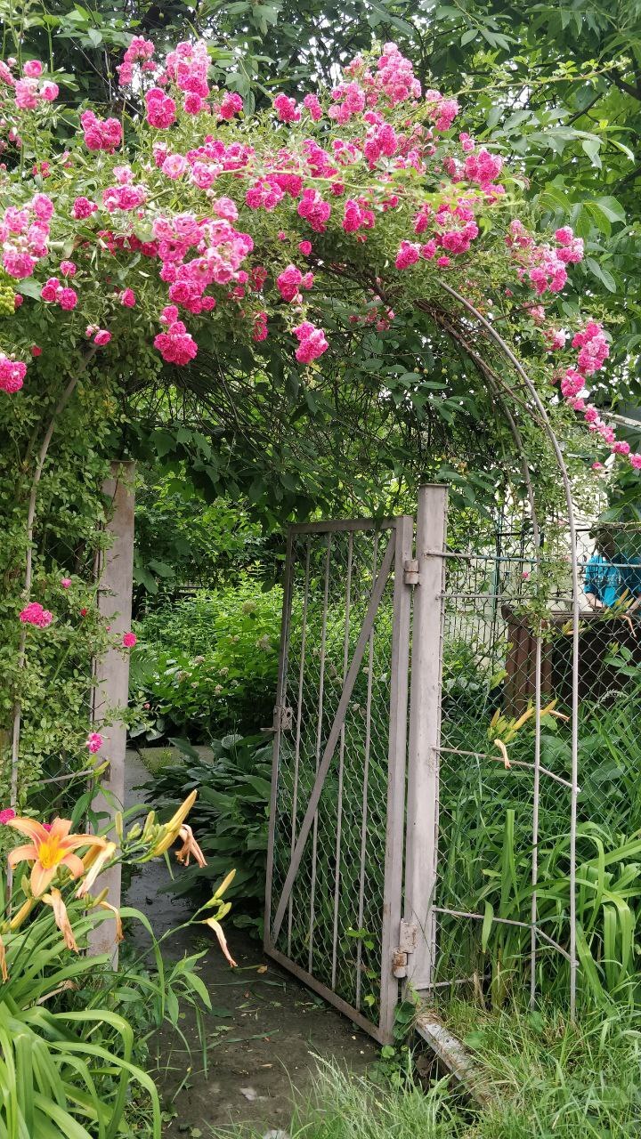 Продаж дачної ділянки 6 соток