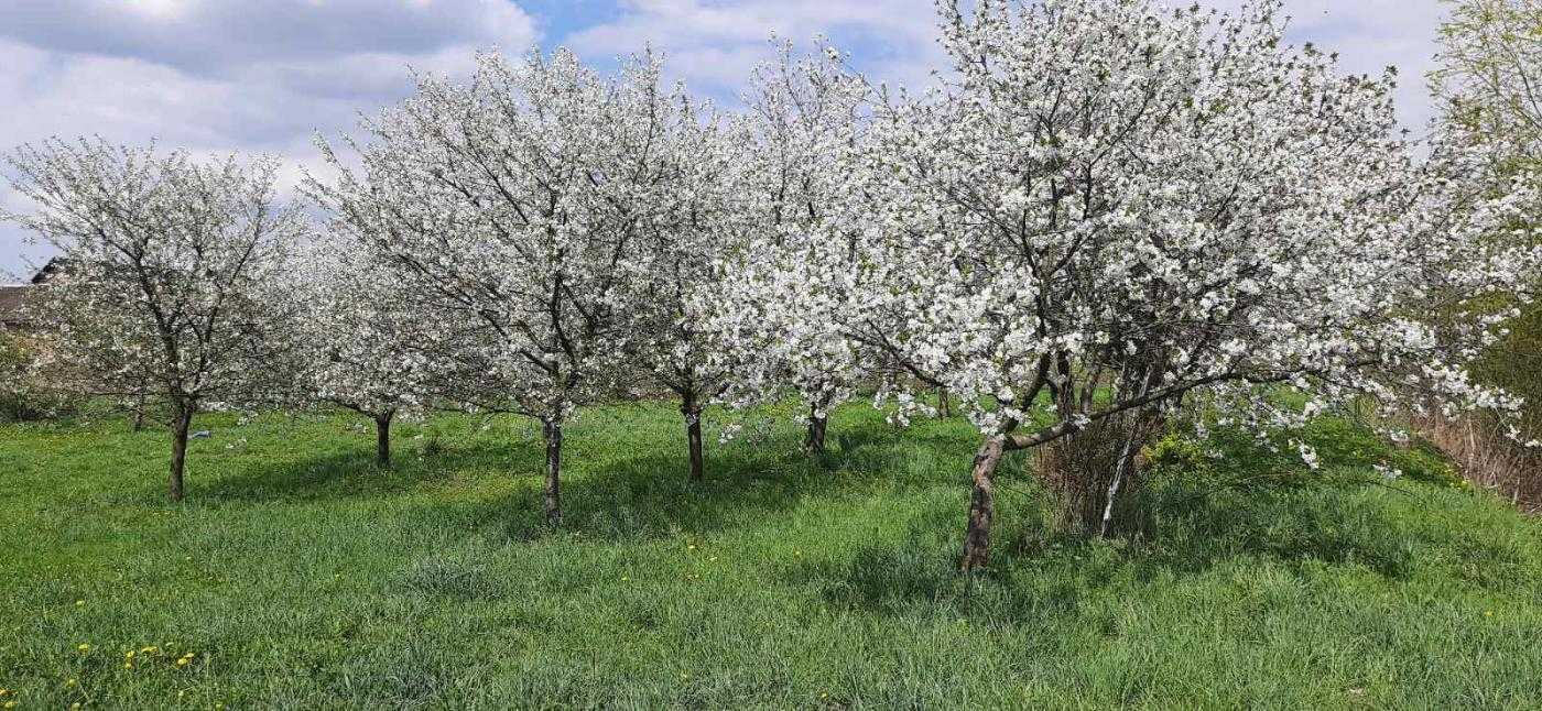 Продажа дома 262 м², Польова