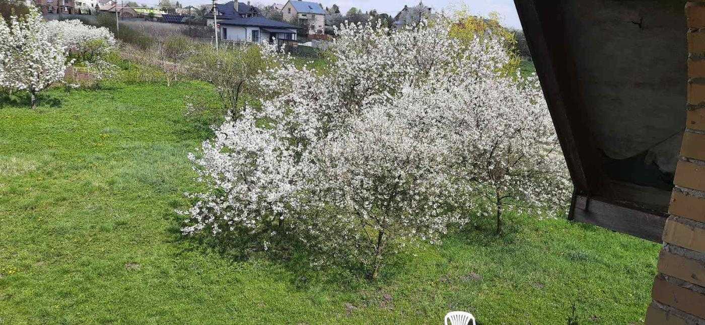 Продажа дома 262 м², Польова