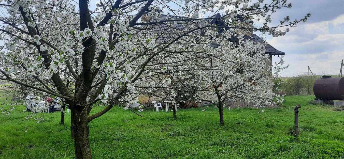 Продажа дома 262 м², Польова