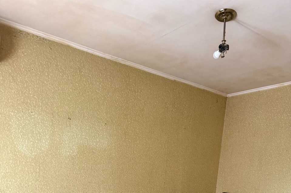 Продажа 1-комнатной квартиры 22 м², Генерала Ватутина ул.