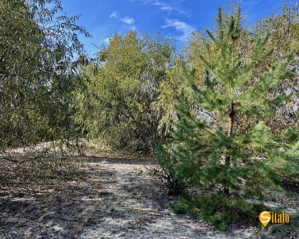 Продажа участка под индивидуальное жилое строительство 12 соток, Виноградная ул.