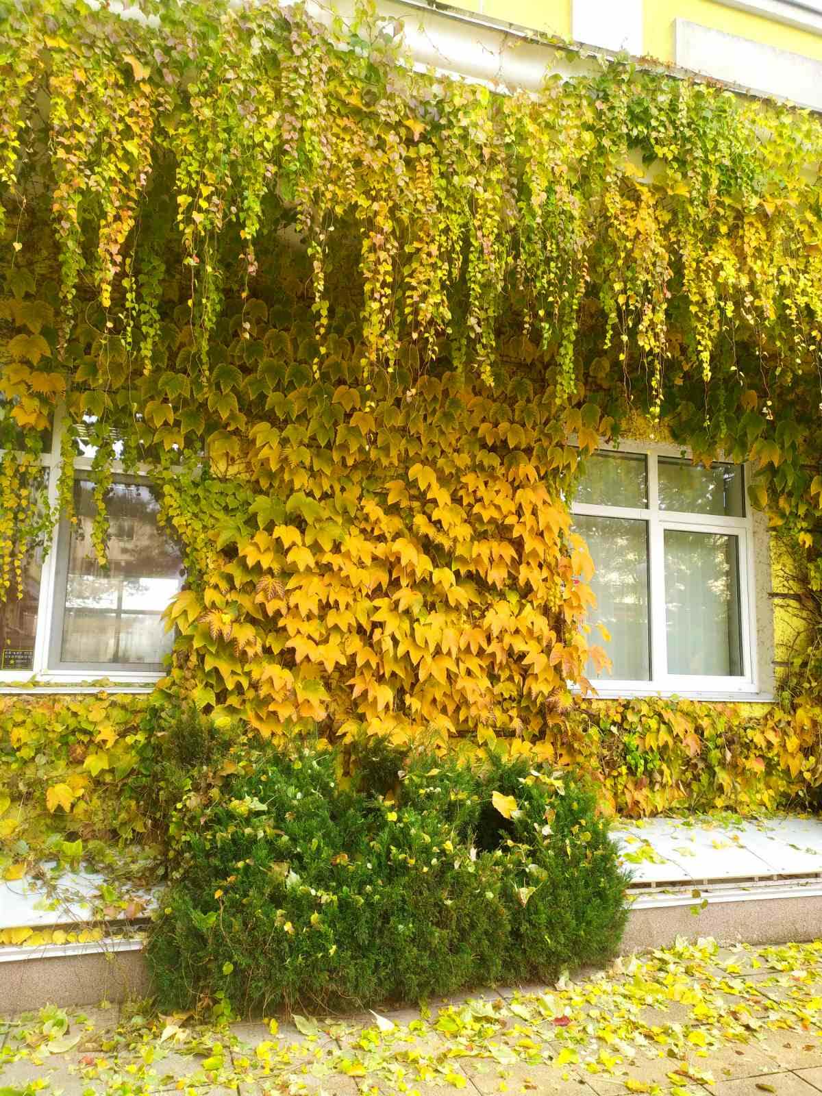 Продаж 2-кімнатної квартири 65.5 м², Лесі Українки вул.