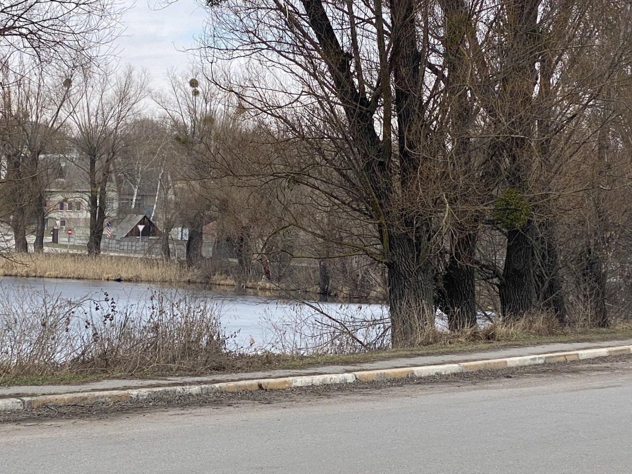 Продажа участка под индивидуальное жилое строительство 200 соток