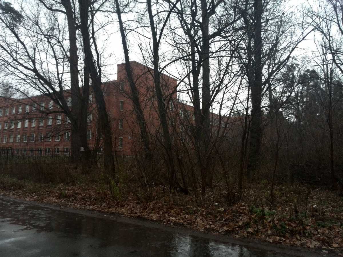 Продаж ділянки під індивідуальне житлове будівництво 20 соток, Лісова вул.