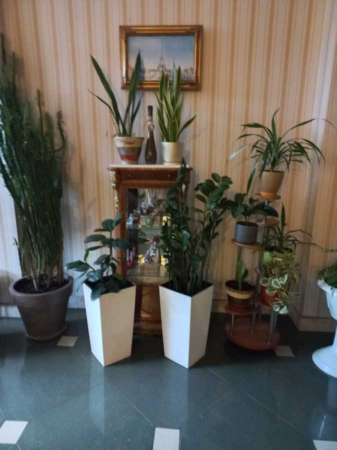 Аренда 1-комнатной квартиры 55 м², Валерия Лобановского просп., 4Г