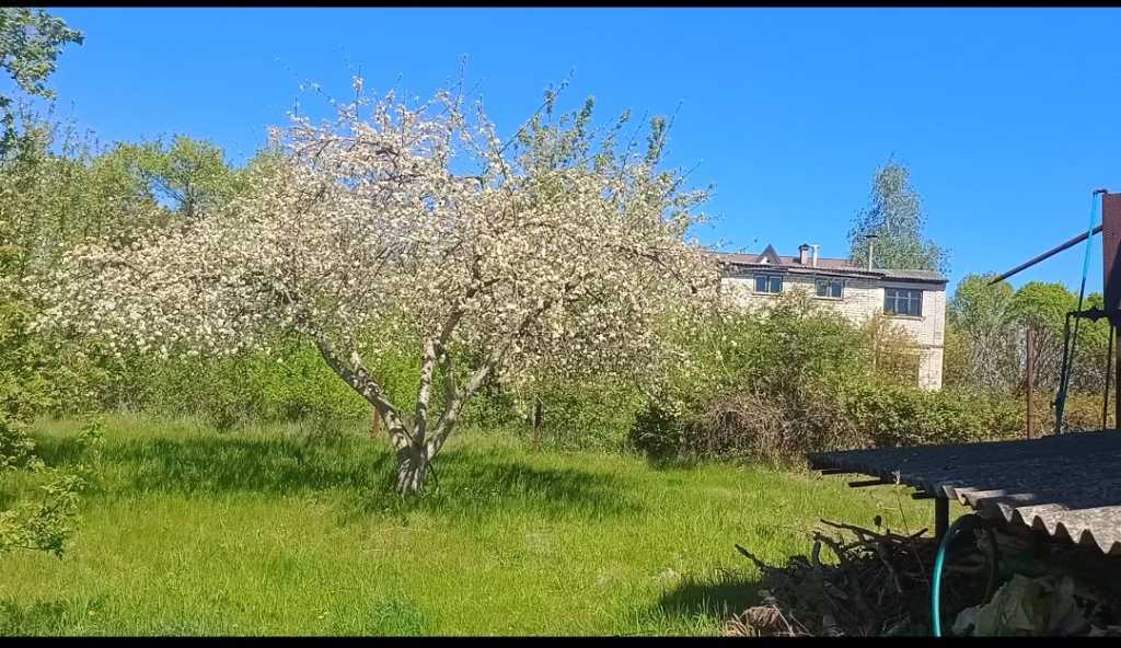 Продаж ділянки під індивідуальне житлове будівництво 31 соток, Касіора