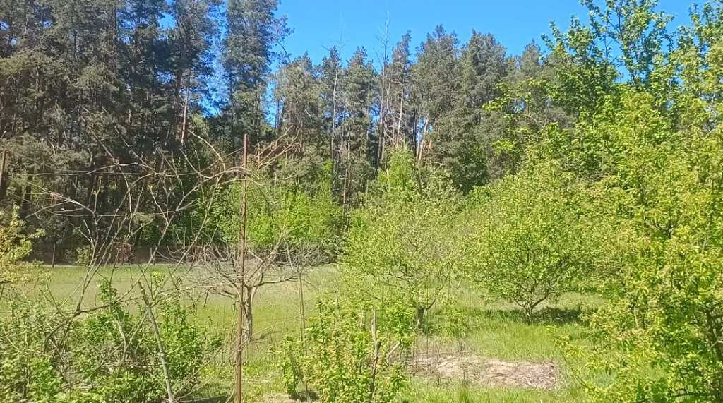 Продаж ділянки під індивідуальне житлове будівництво 31 соток, Касіора