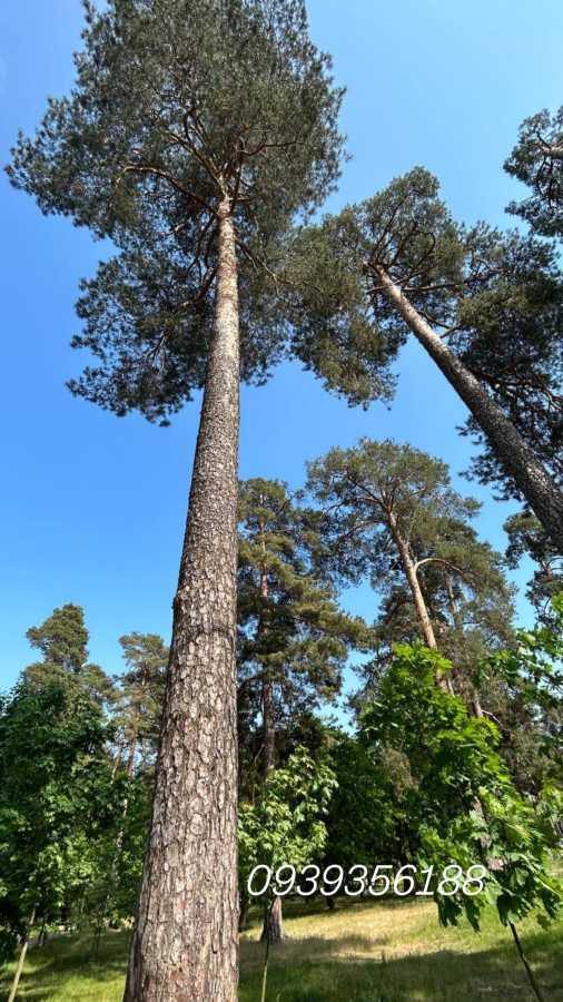 Продажа 2-комнатной квартиры 72 м², Николая Кибальчича ул., Хвильового, 3