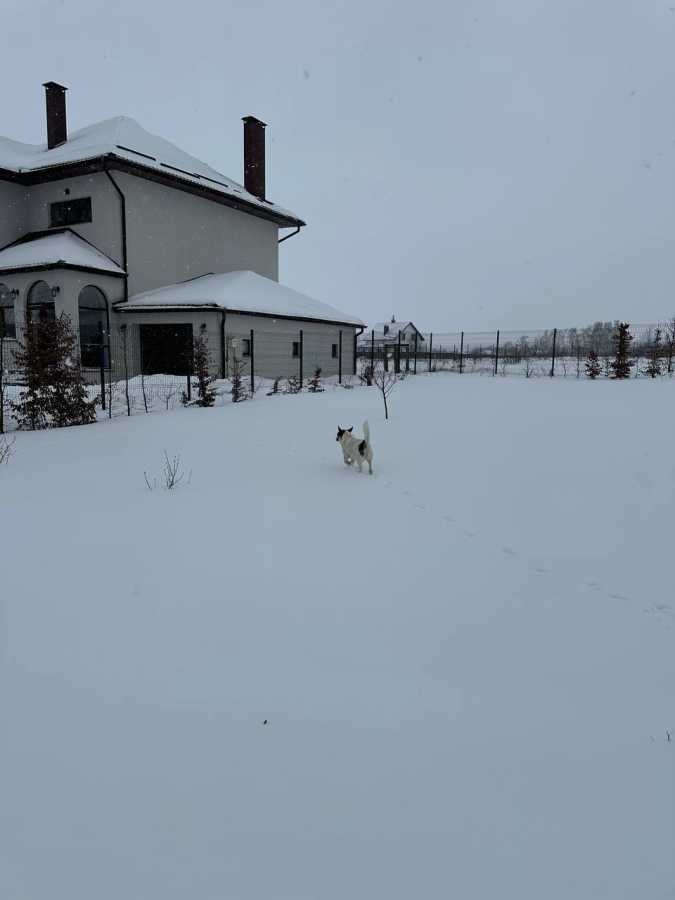 Продажа дома 228.4 м², Подильна