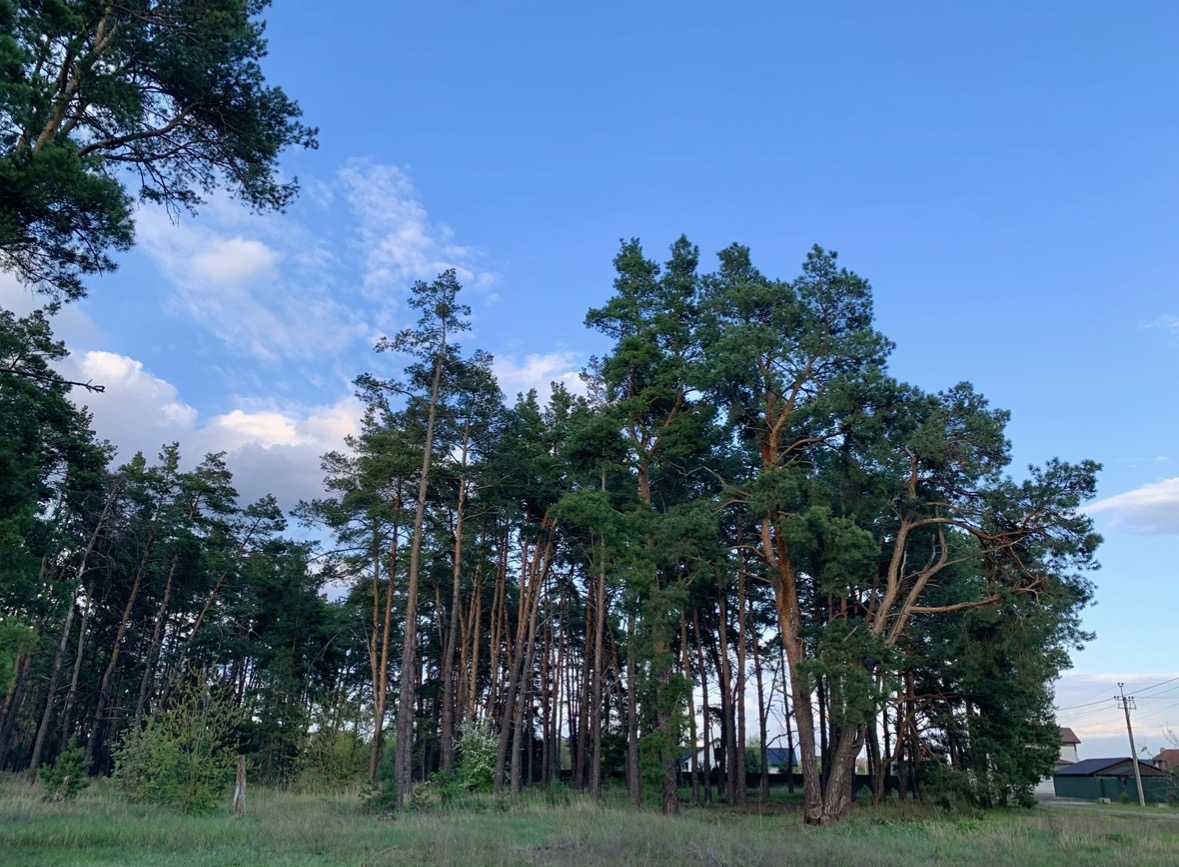 Продажа участка под индивидуальное жилое строительство 6 соток, Райдужна