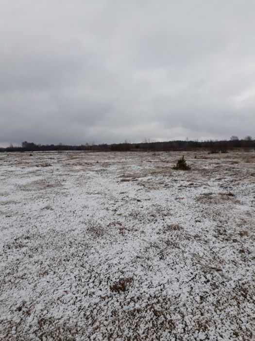 Продажа участка под индивидуальное жилое строительство 25 соток, Кримчука