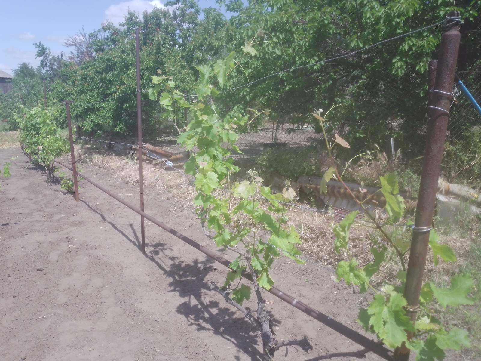 Продажа дома 67 м²