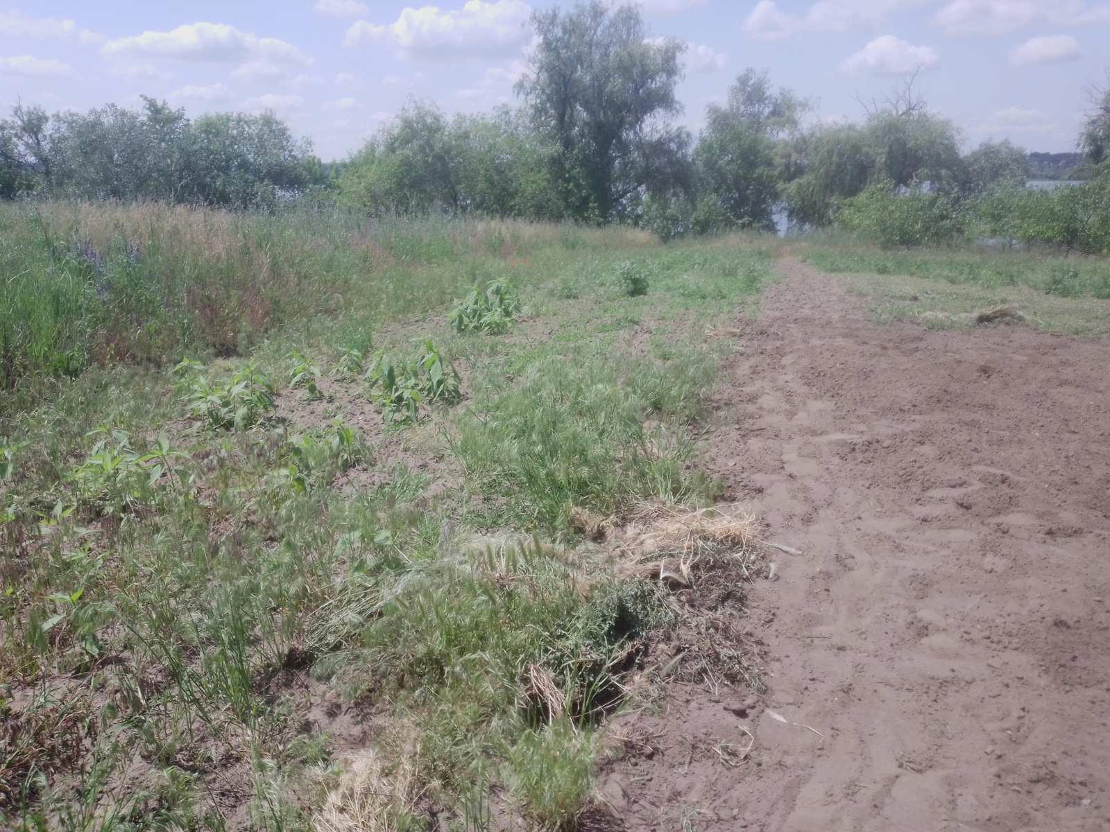 Продажа дома 67 м²