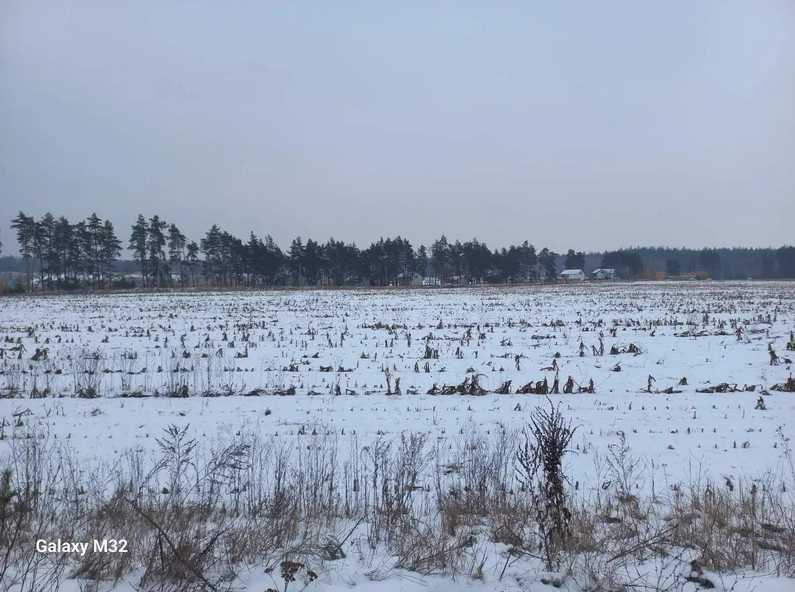 Продажа участка для личного сельского хозяйства 200.01 соток, Нова