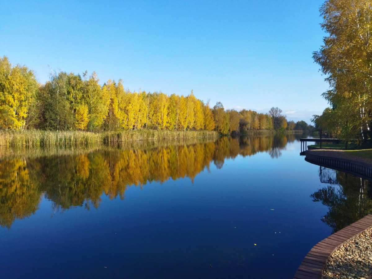 Продажа дома 500 м², Соловяненка