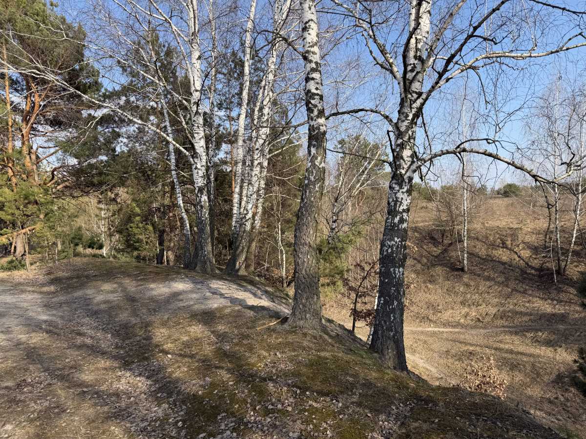 Продаж ділянки під індивідуальне житлове будівництво 8 соток, Гоголя