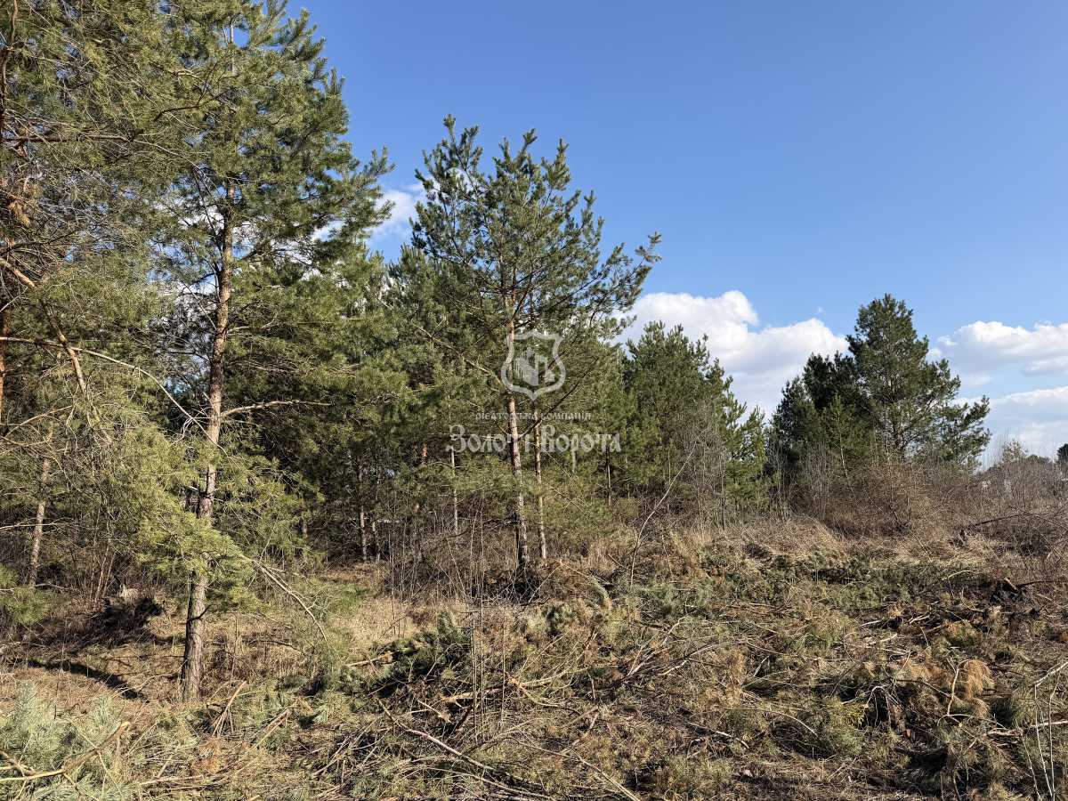 Продажа участка под индивидуальное жилое строительство 13 соток, Брама