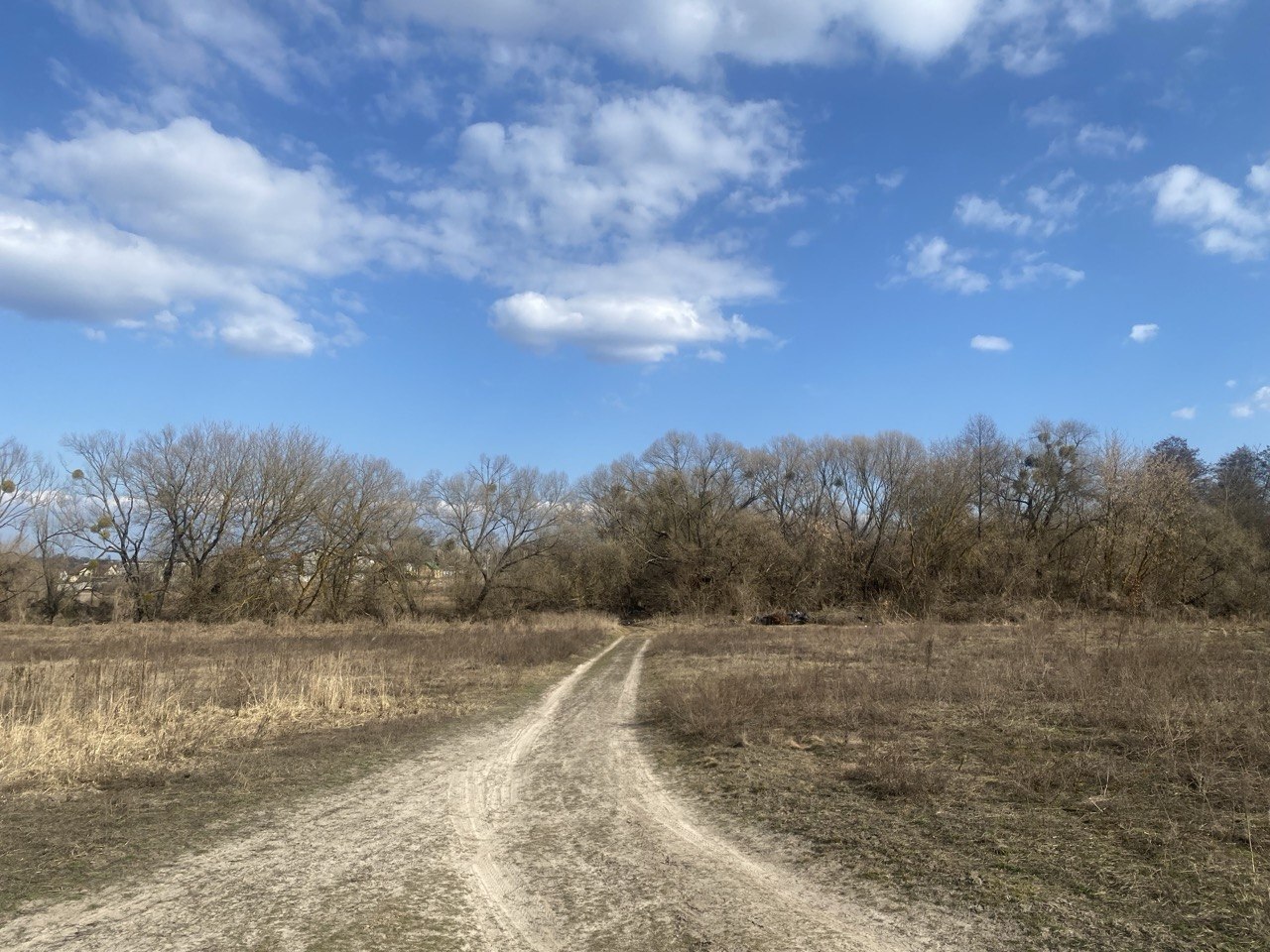 Продаж ділянки під індивідуальне житлове будівництво 67 соток