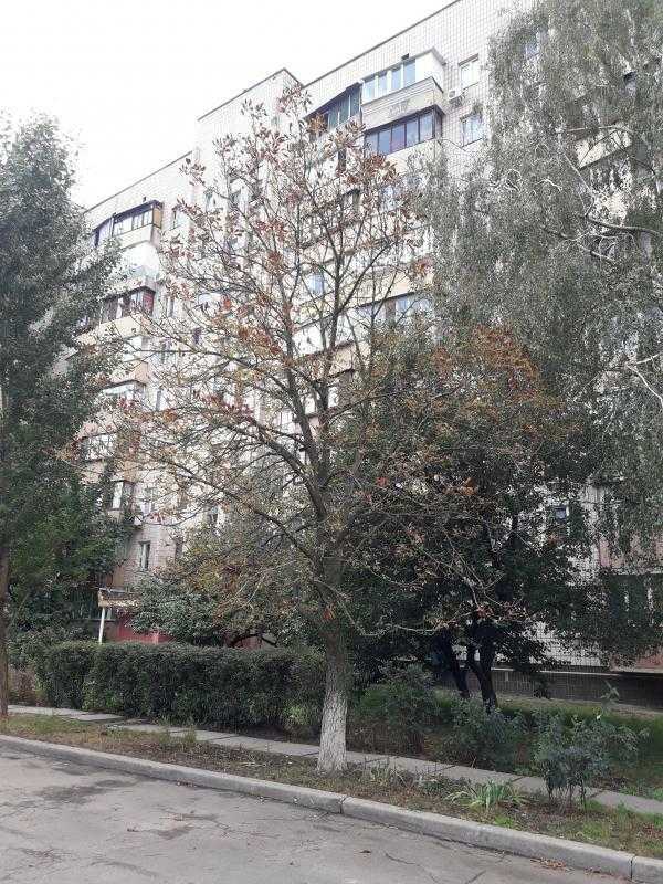 Оренда 1-кімнатної квартири 30 м², Симиренка вул., 26