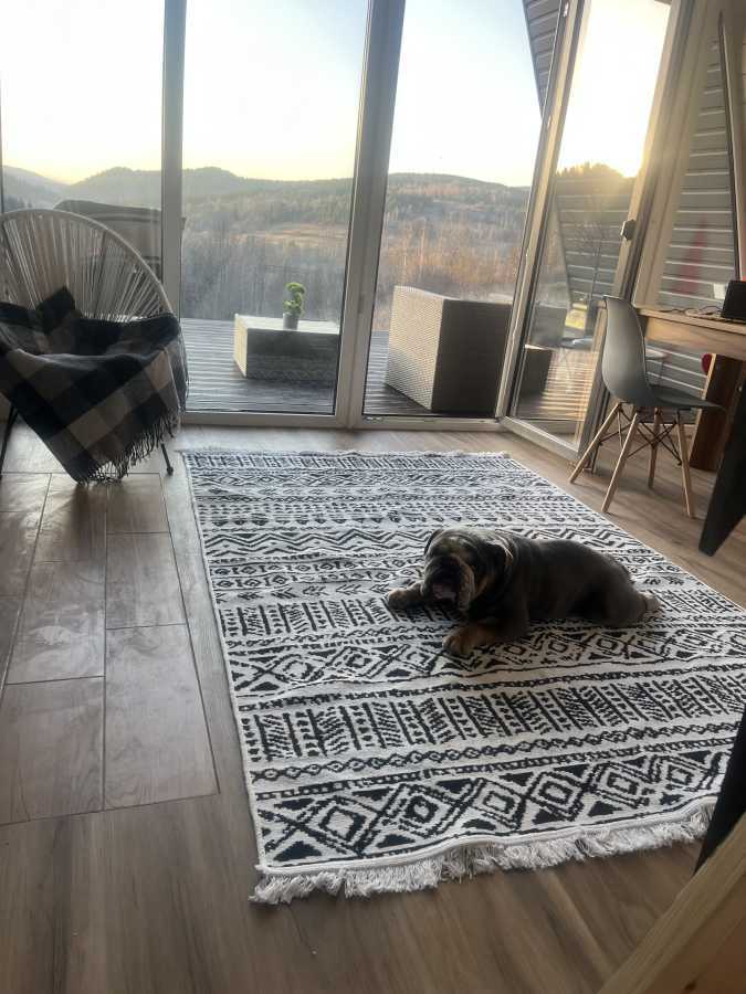Коттедж посуточно 60 м², Сходница, улица Ювілейна, 16