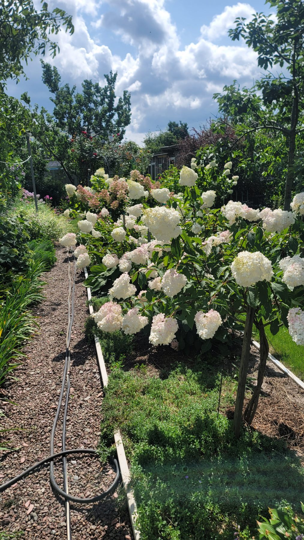 Продаж будинку 200 м²