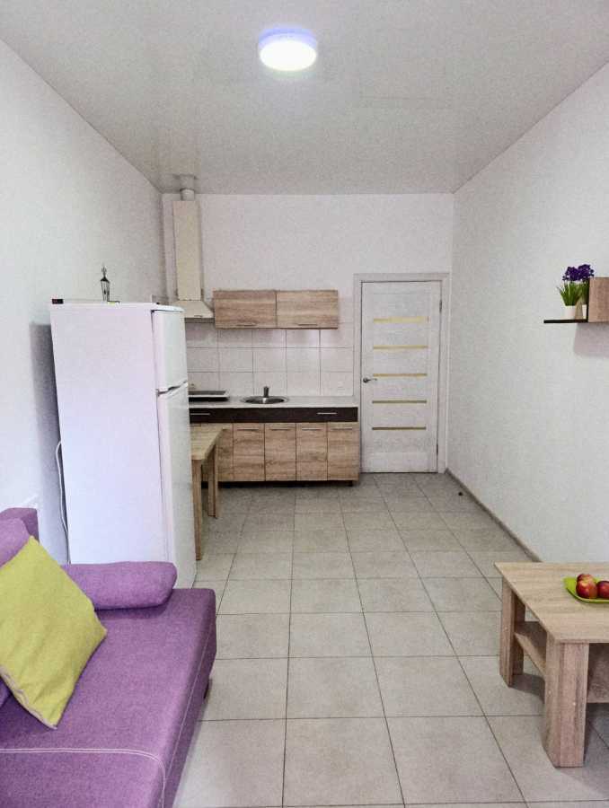 Аренда 1-комнатной квартиры 27 м², Олени Теліги, 2д