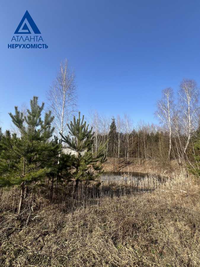 Продажа участка для личного сельского хозяйства 24 соток, Лісова