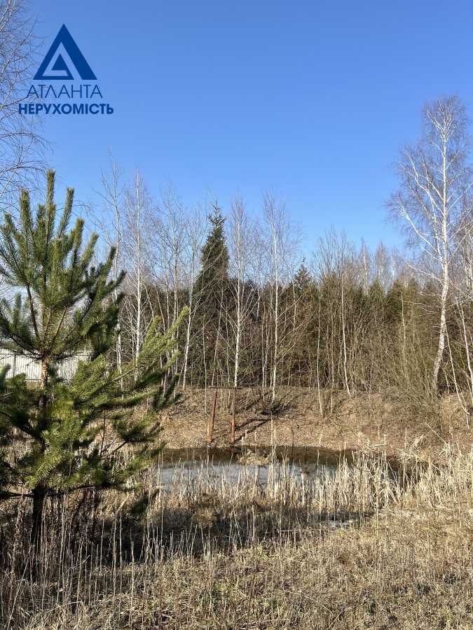 Продажа участка для личного сельского хозяйства 24 соток, Лісова