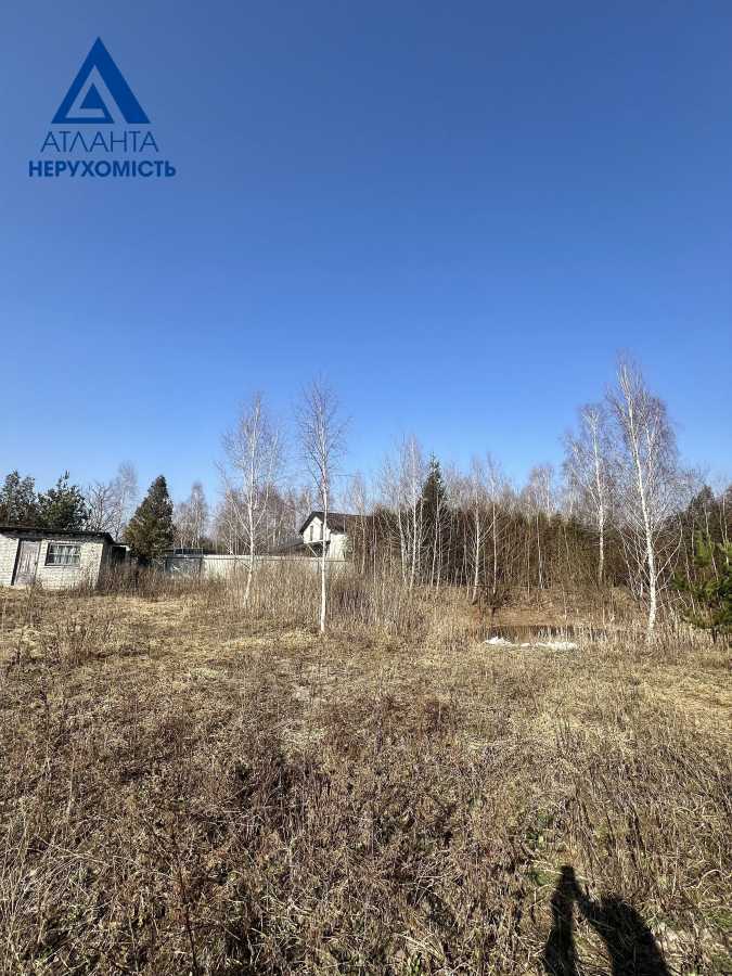 Продажа участка для личного сельского хозяйства 24 соток, Лісова