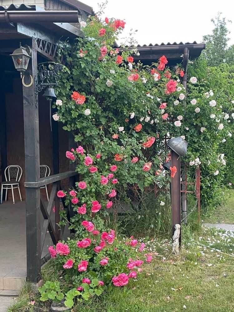 Продажа дачи 44 м², СТ Волга