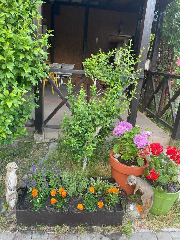 Продажа дачи 44 м², СТ Волга