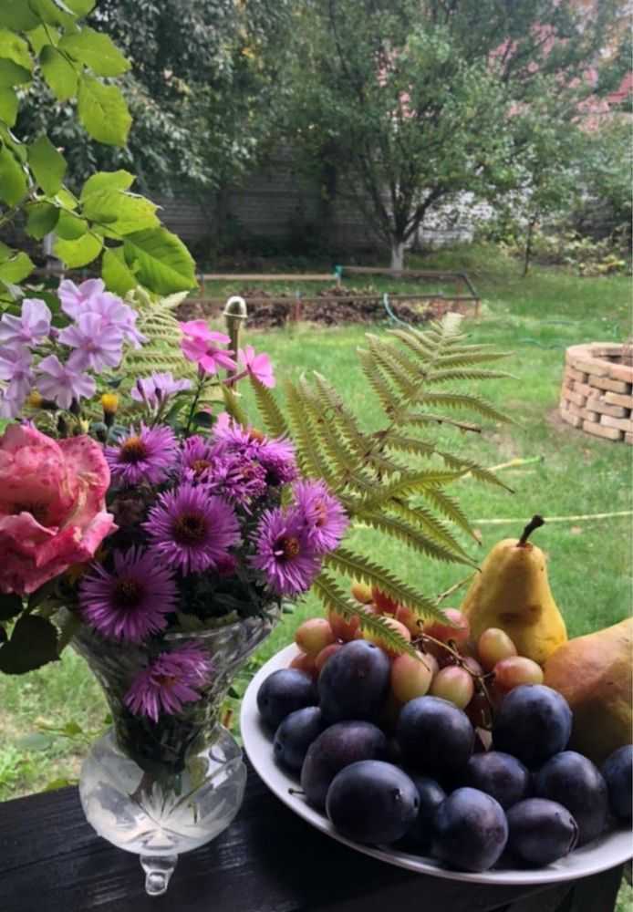 Продажа дачи 44 м², СТ Волга