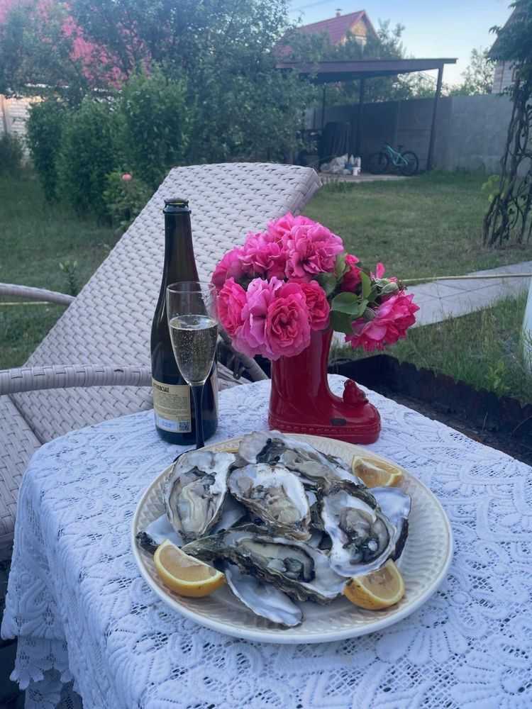 Продажа дачи 44 м², СТ Волга