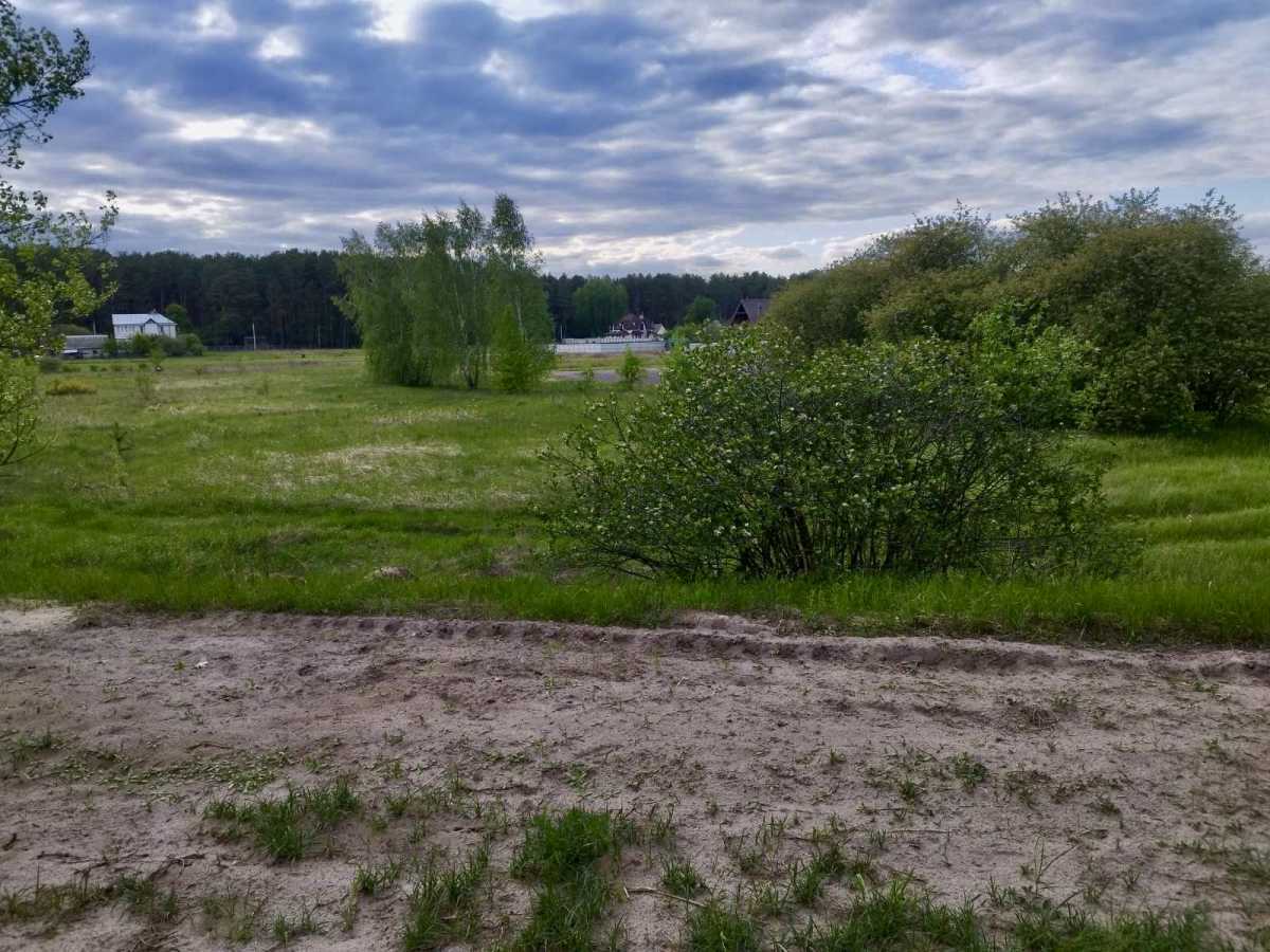 Продаж ділянки для особистого сільського господарства 39 соток, Центральная