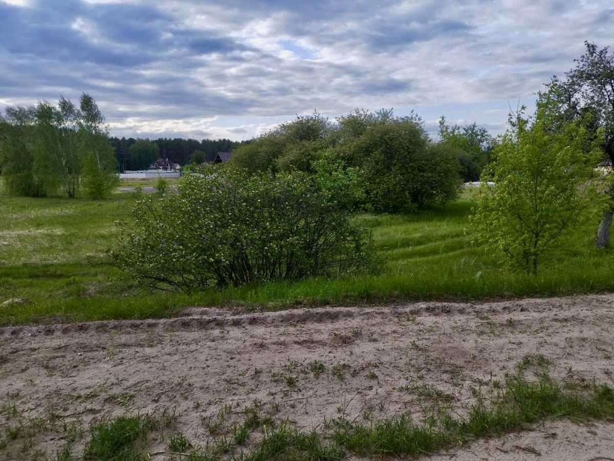 Продаж ділянки для особистого сільського господарства 39 соток, Центральная