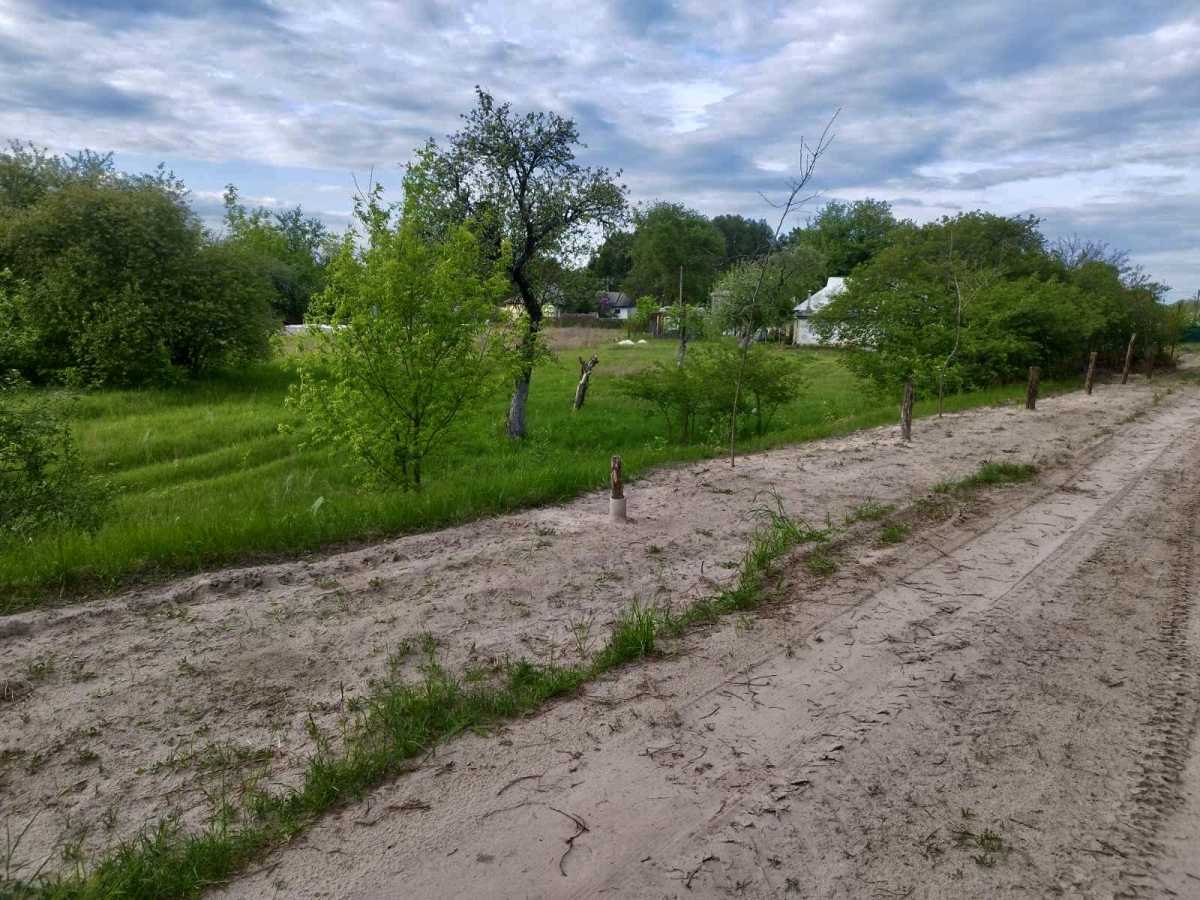 Продаж ділянки для особистого сільського господарства 39 соток, Центральная