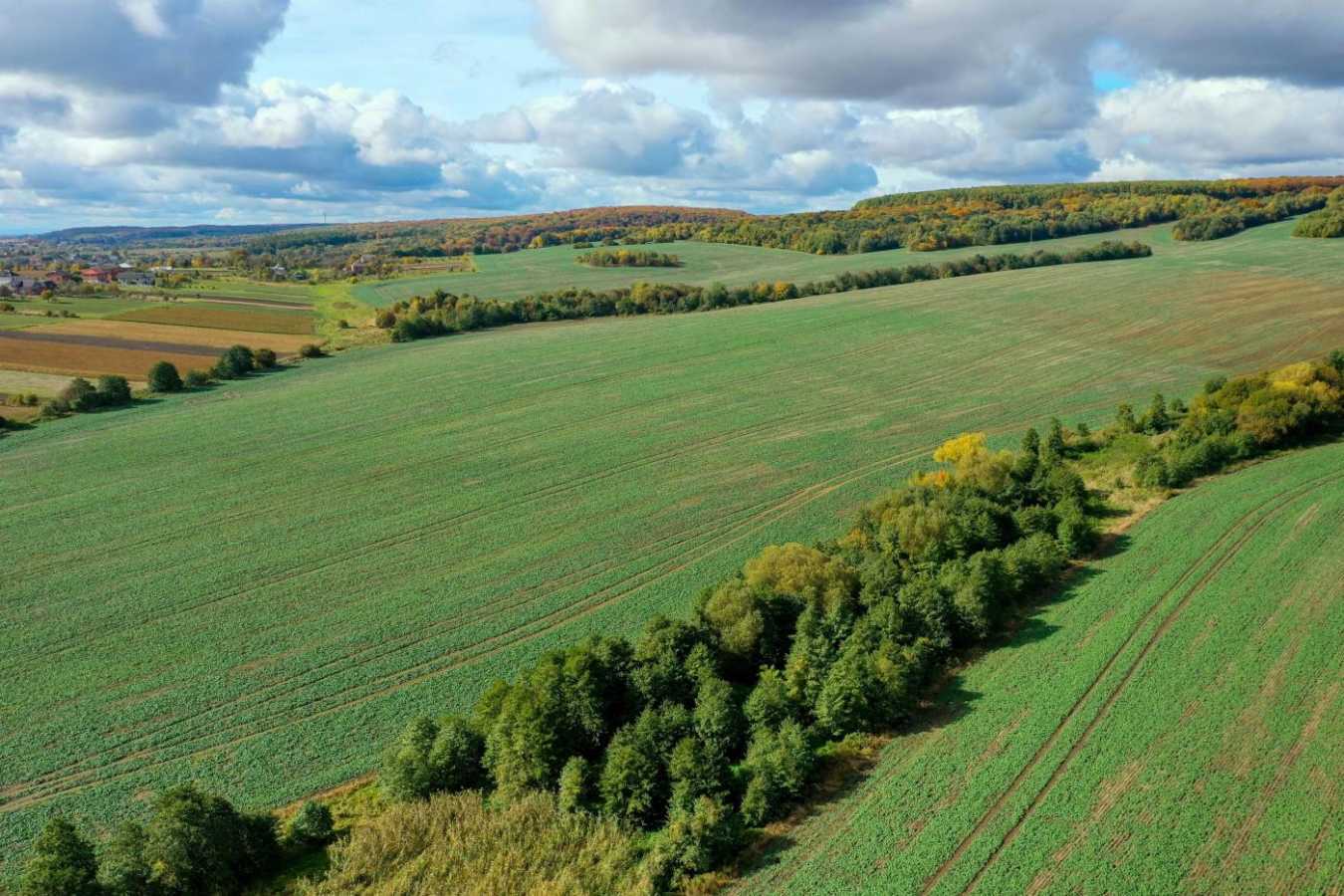 Продажа участка для личного сельского хозяйства 537 соток, Фецакова