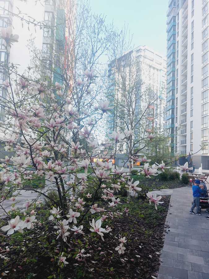 Аренда 1-комнатной квартиры 41 м², ЖК Crystal Avenue, ДОМ 3 (УЛ. КРЫШТАЛЕВА, 1А)